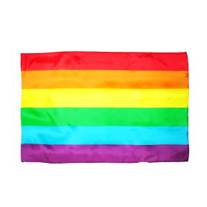 BANDEIRA LGBT GRANDE 90 x 140 - Image 1