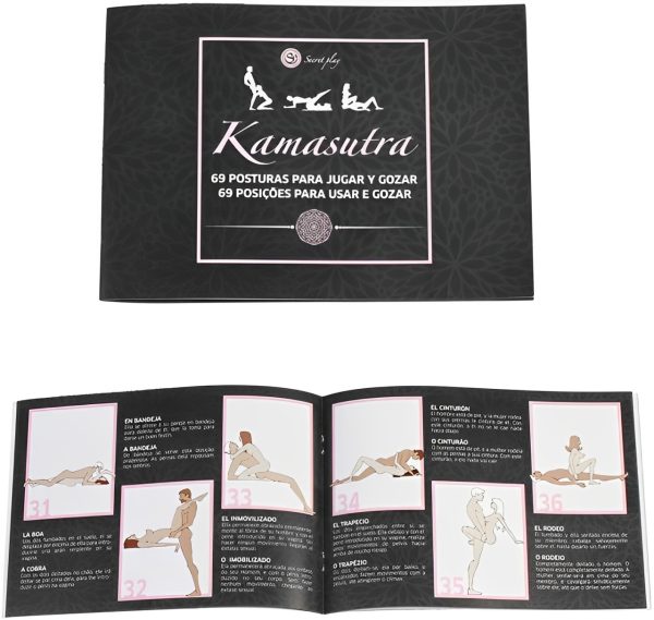 LIVRO-ILUSTRADO-AS-69-POSICOES-DO-KAMASUTRA-PT-ESP.jpg