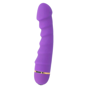 VIBRADOR SALLY COM 20 VELOCIDADES (LILÁS) - Image 2